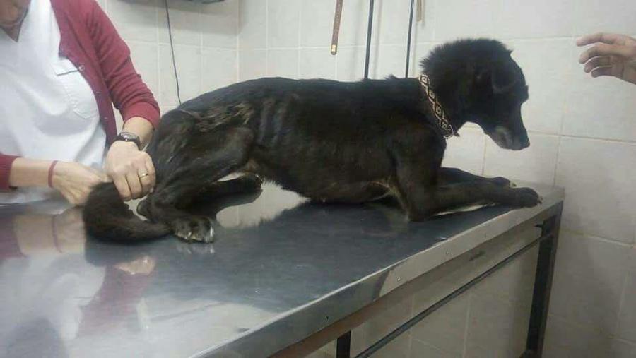 28380972_1793784084006098_410620111_n