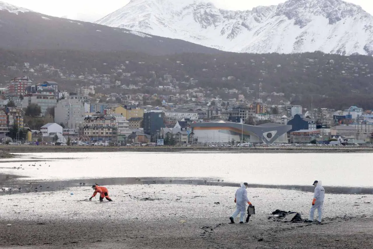 photo_5049024890614690446_y-2