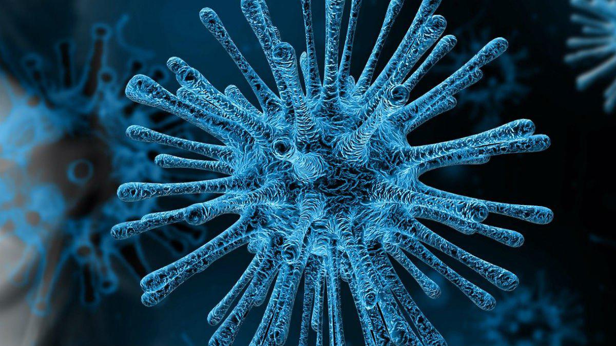 imagen-coronavirus-1583444359864