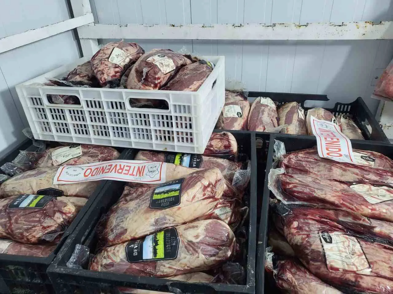 photo_4961015702140071457_y-1