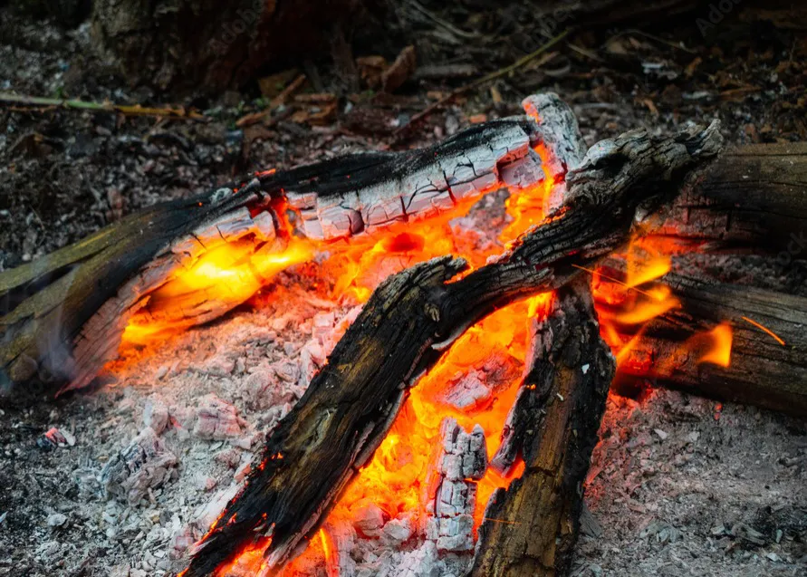 36ceef54-ad0e-465f-a7a4-8716832b2c78