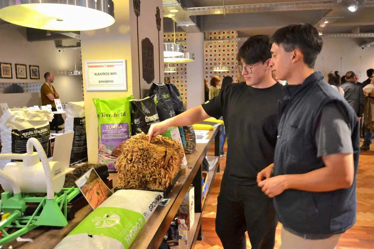 photo_5170674504928267094_y-1