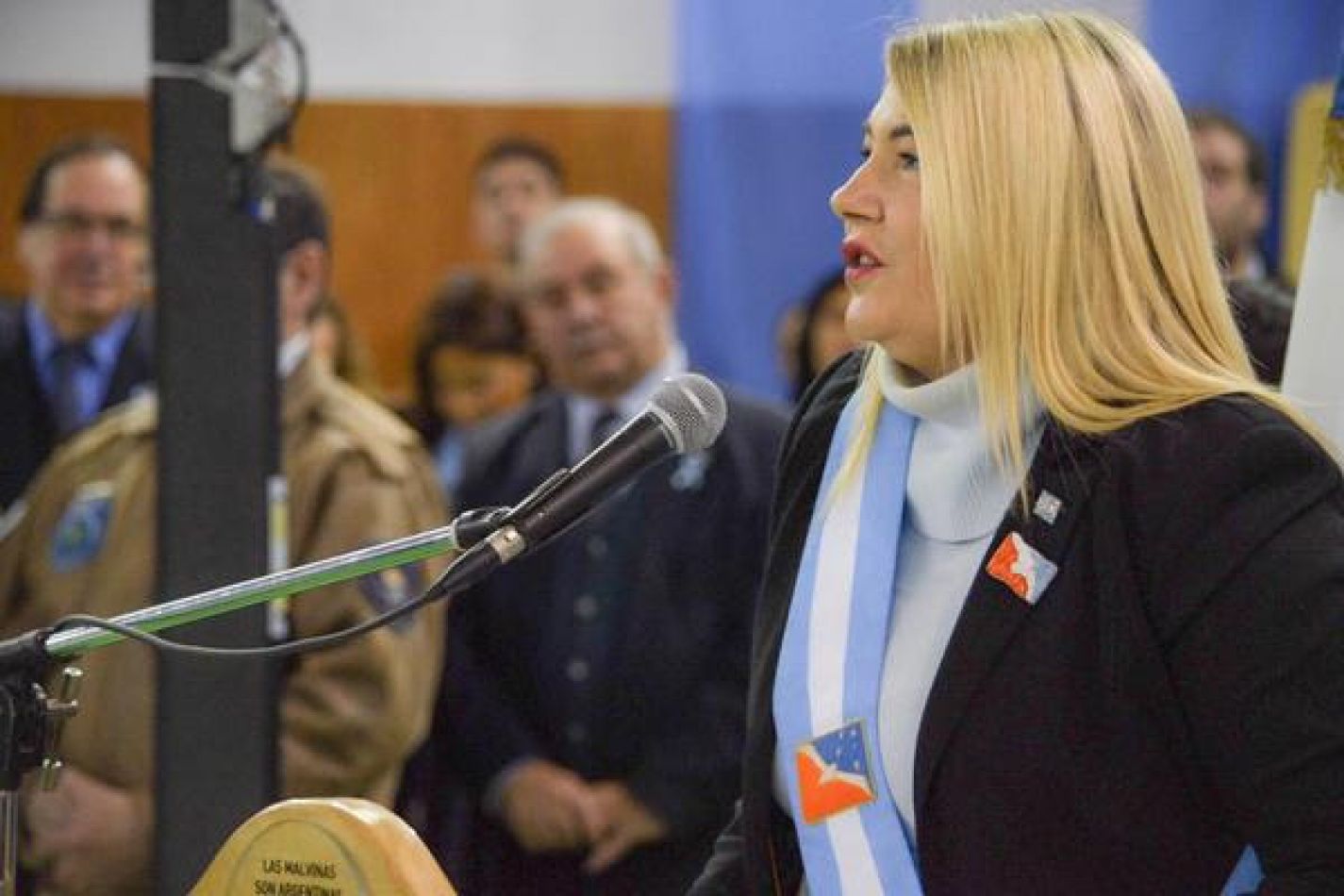 15835-malvinas-bertone-convoco-al-senado-a-todos-los-actores-institucionales