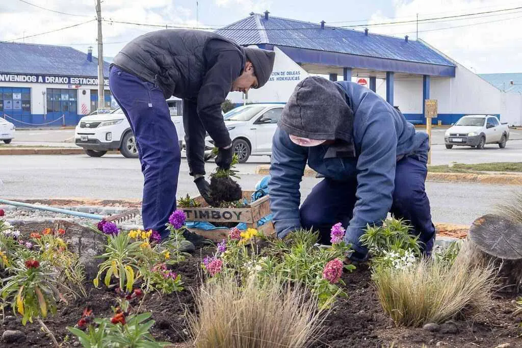 photo_5166070231267478412_y-2