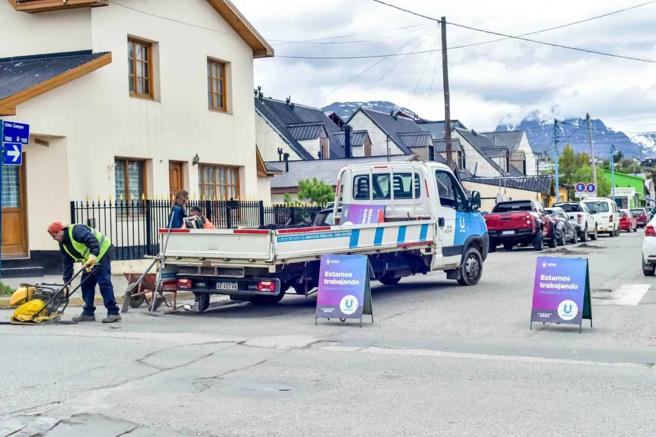 photo_5014892274412268691_y-1