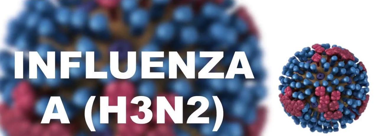 InfluenzaA