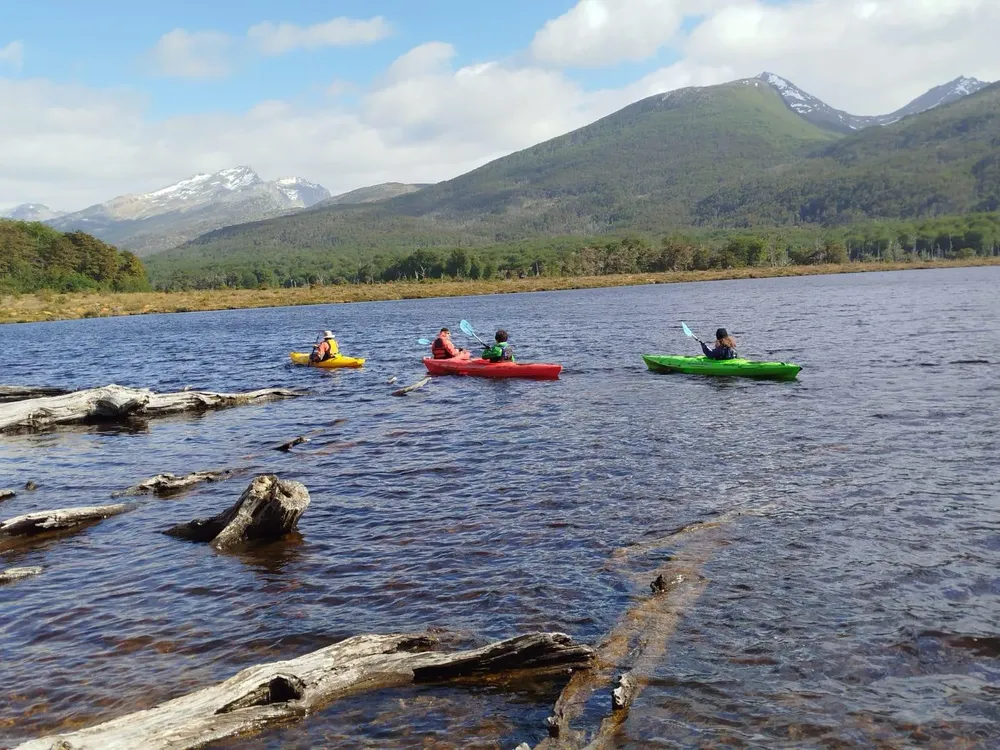 imagen_convertida (11)