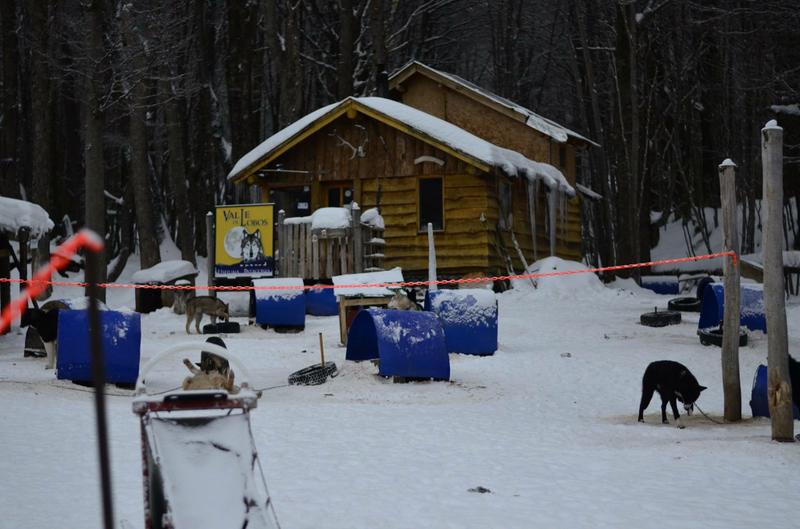 14125571_10210346840257562_6016849299008485953_o