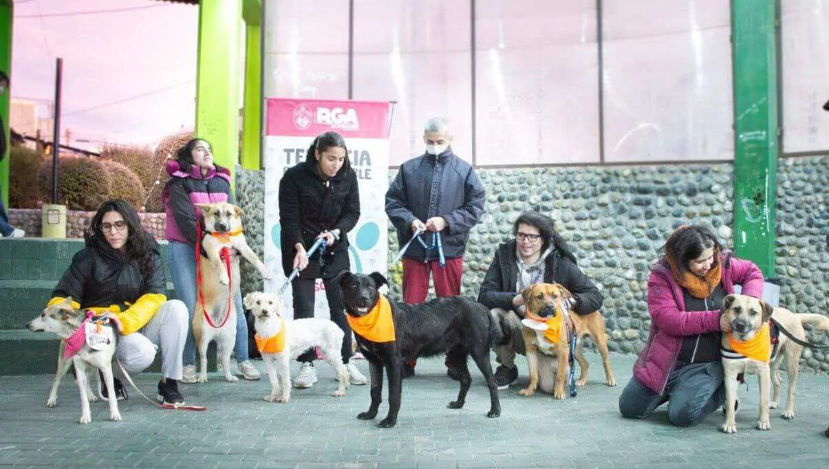 photo_5177186229396025231_y-1