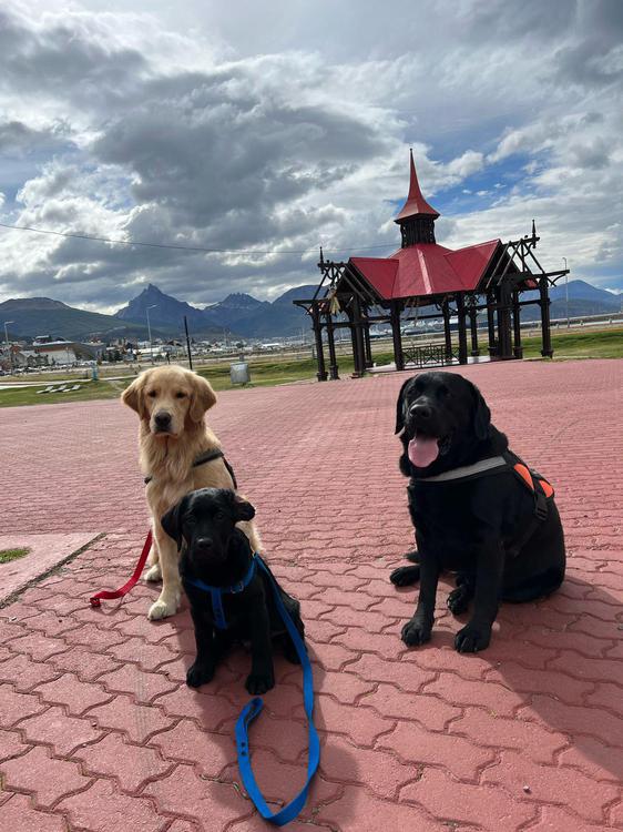 c3cd61b4-4431-4bfc-96c4-20615bc21277