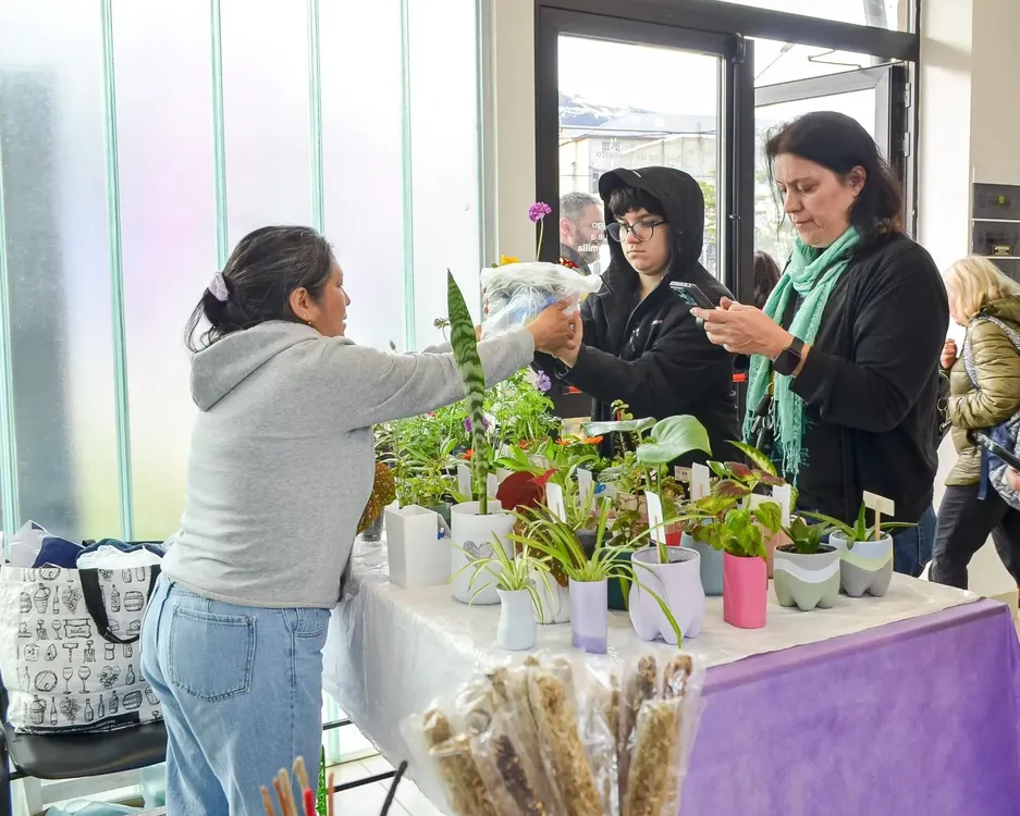 feria_plantas