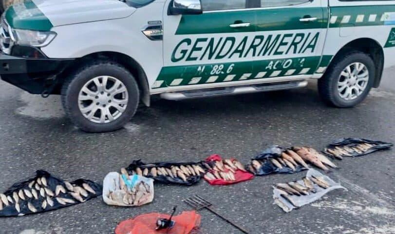 Truchas-e1713306407731-811x480