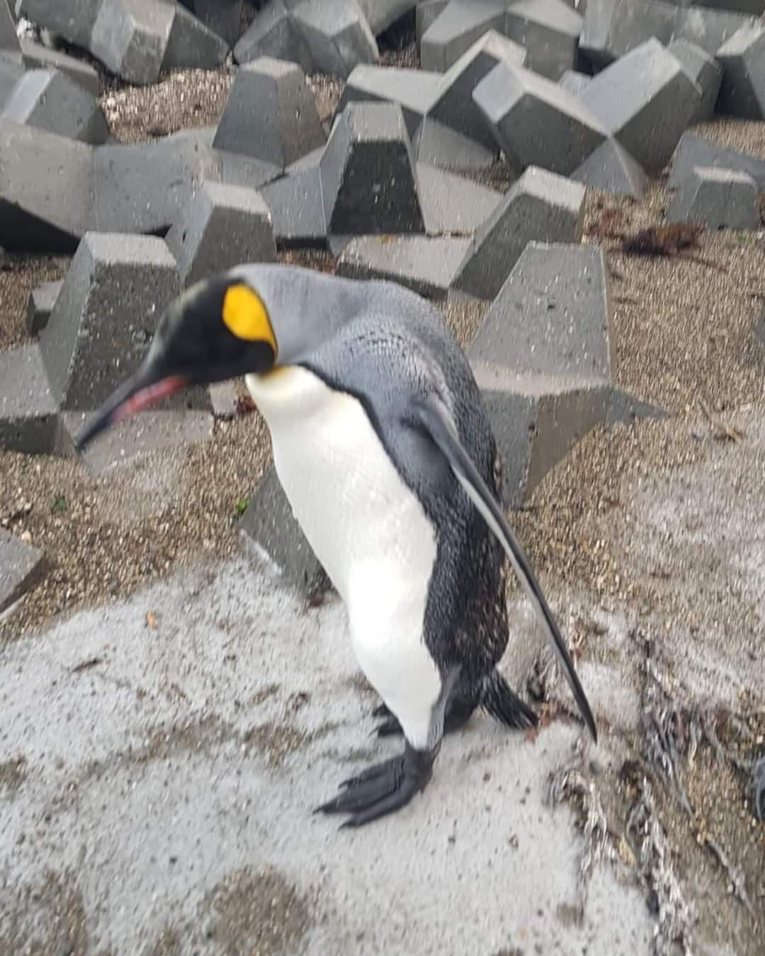 8966750c-3848-487c-a72e-530f9a0fe744