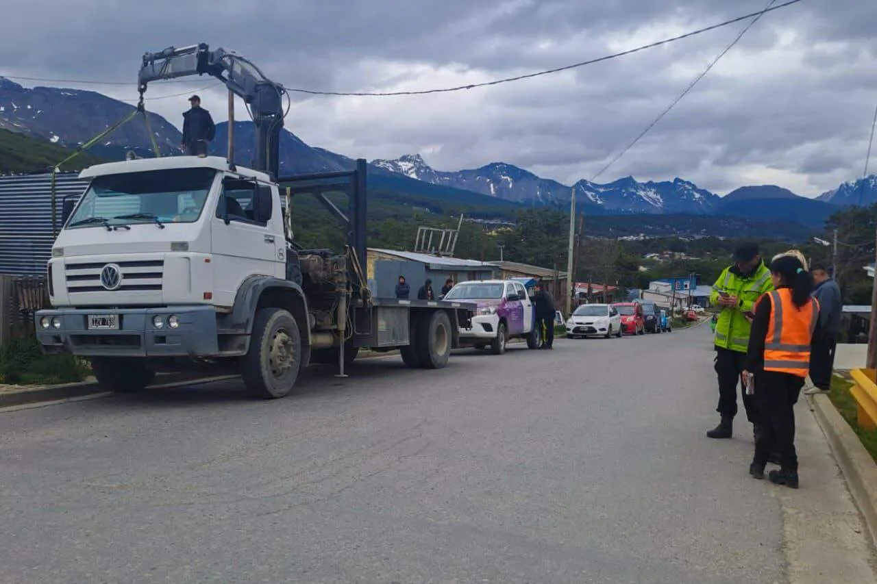 photo_4999554980561750830_y-1