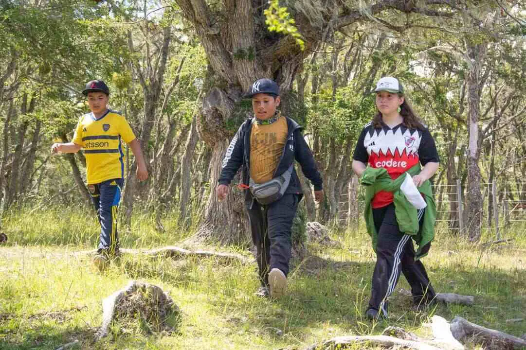 photo_4904472084026077654_y-1