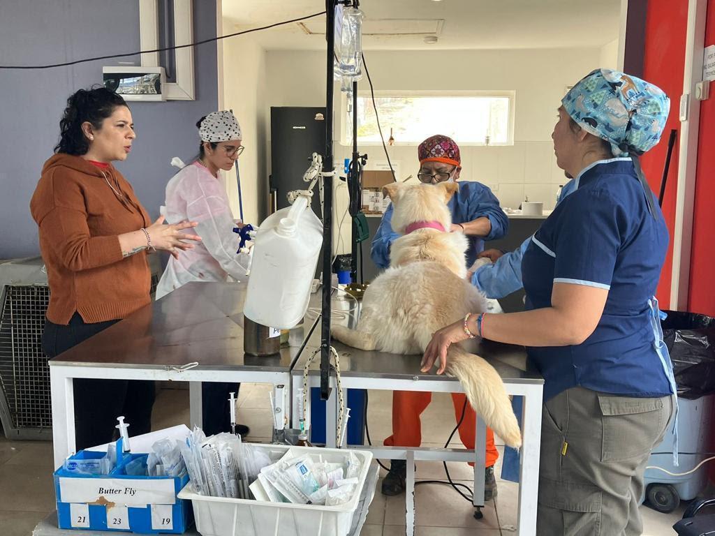 unnamed - 2023-10-05T120701.463