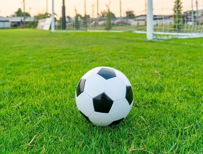 25387f93be61b69c46edbbd90f42b8bb