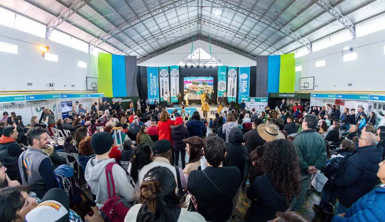 photo_5012950953489443860_y-1