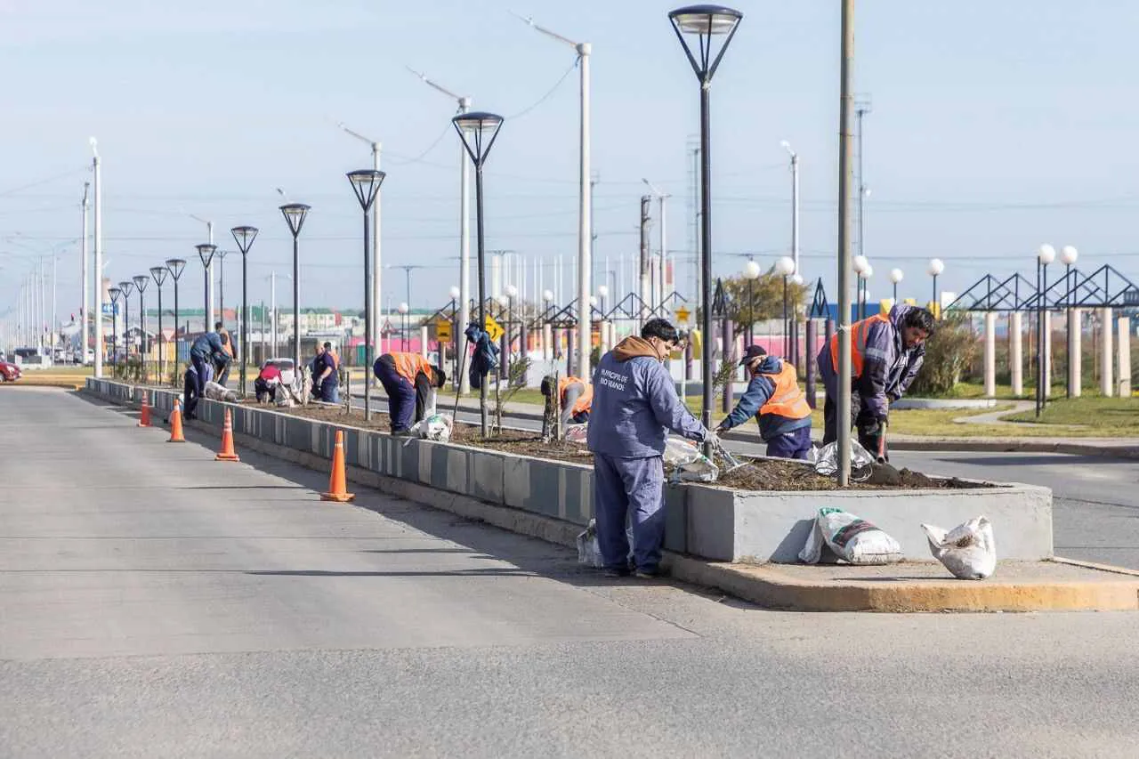 photo_4915739819061742382_y-1