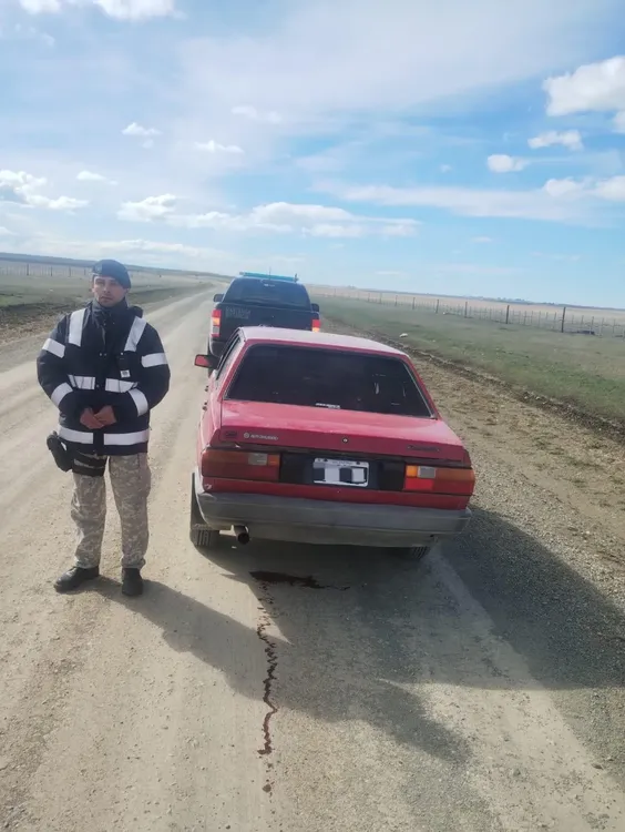 guanaco_operativo