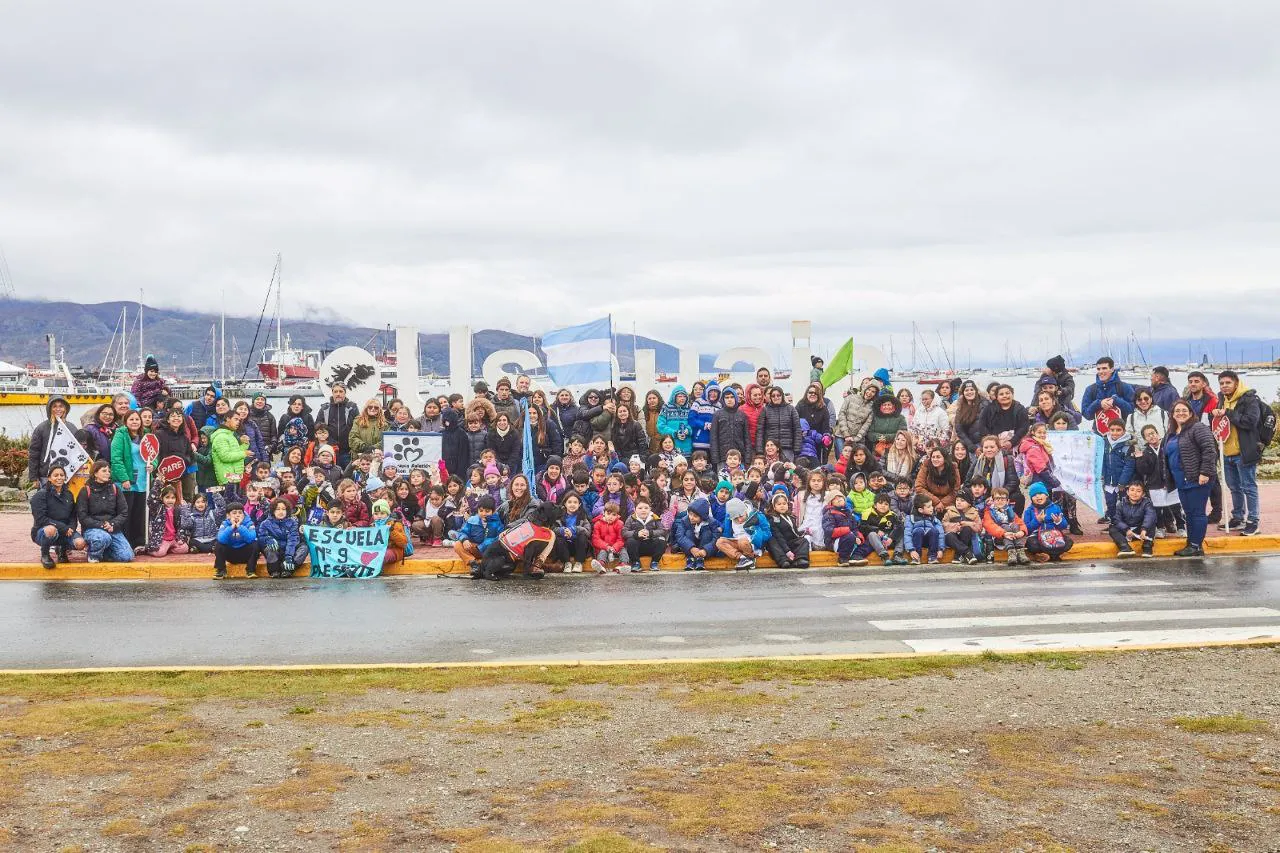 photo_4931636545287466559_y-1