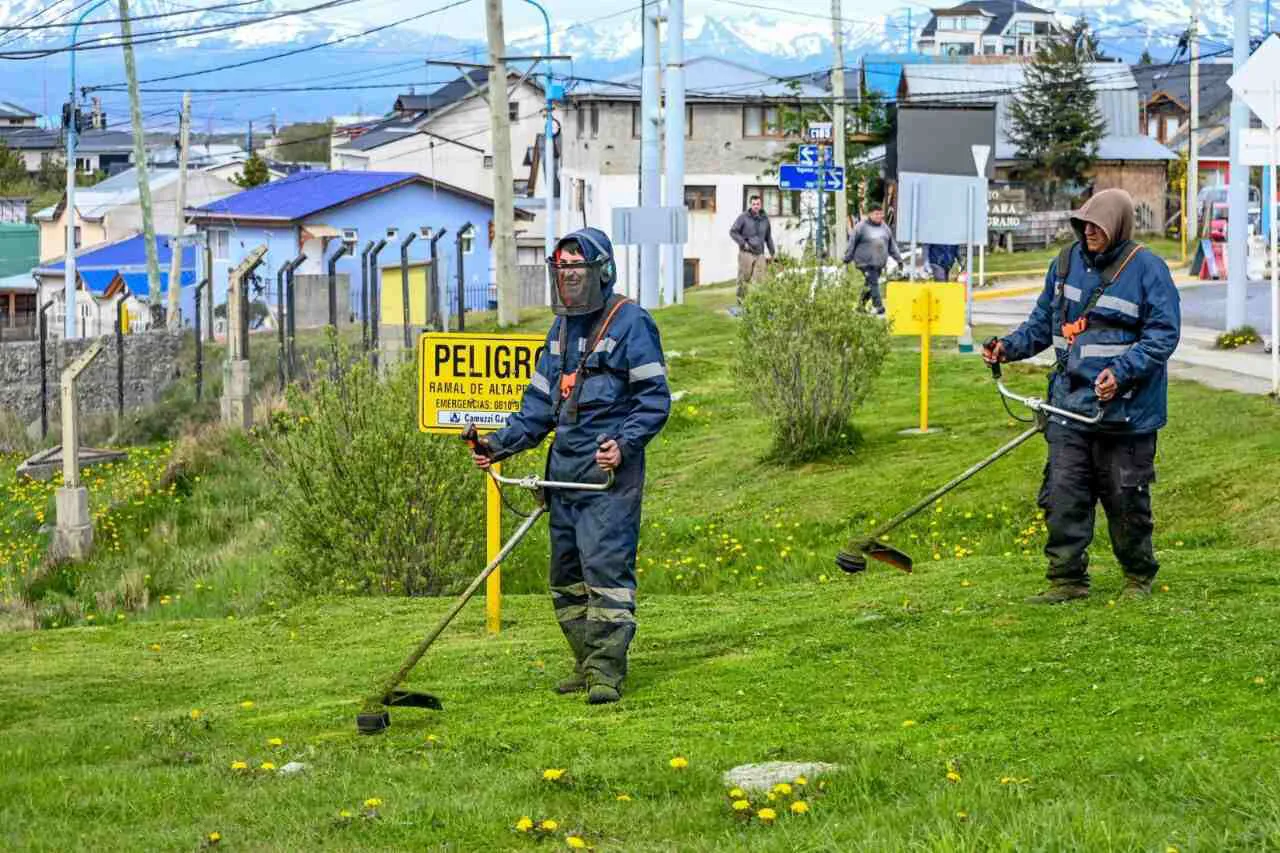 photo_5001618562019863832_y-1