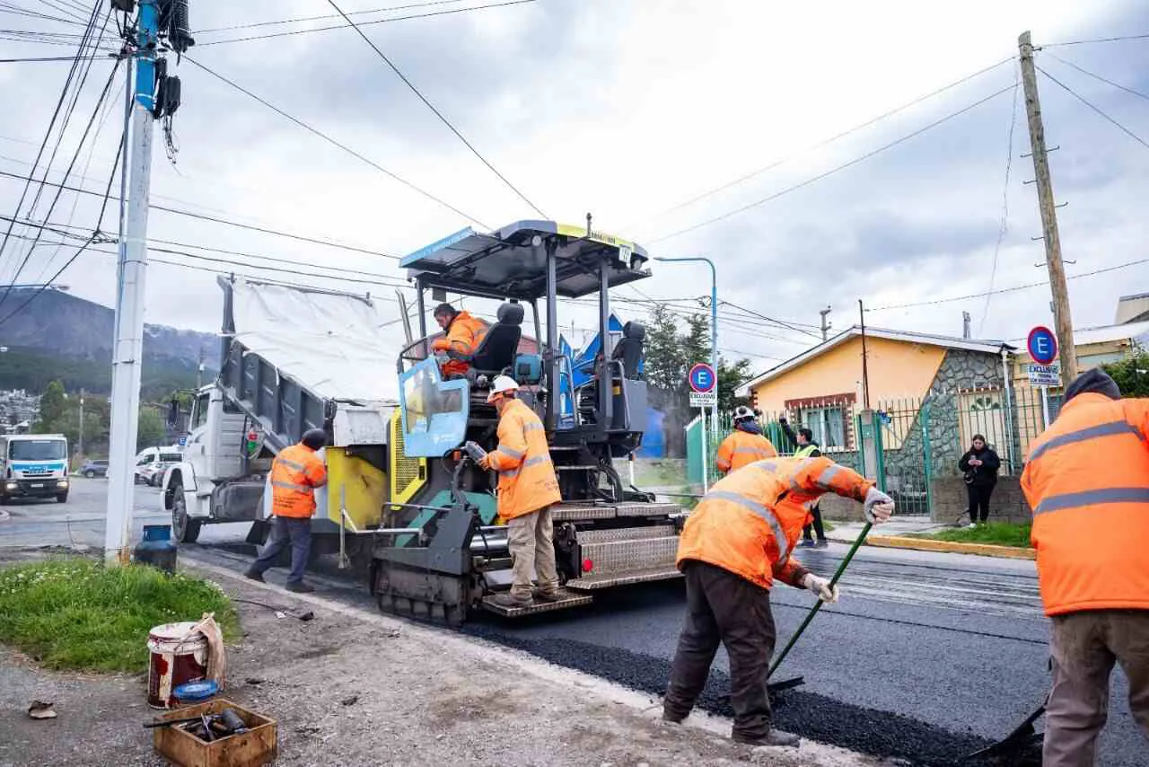 photo_4902642586875530147_y-1