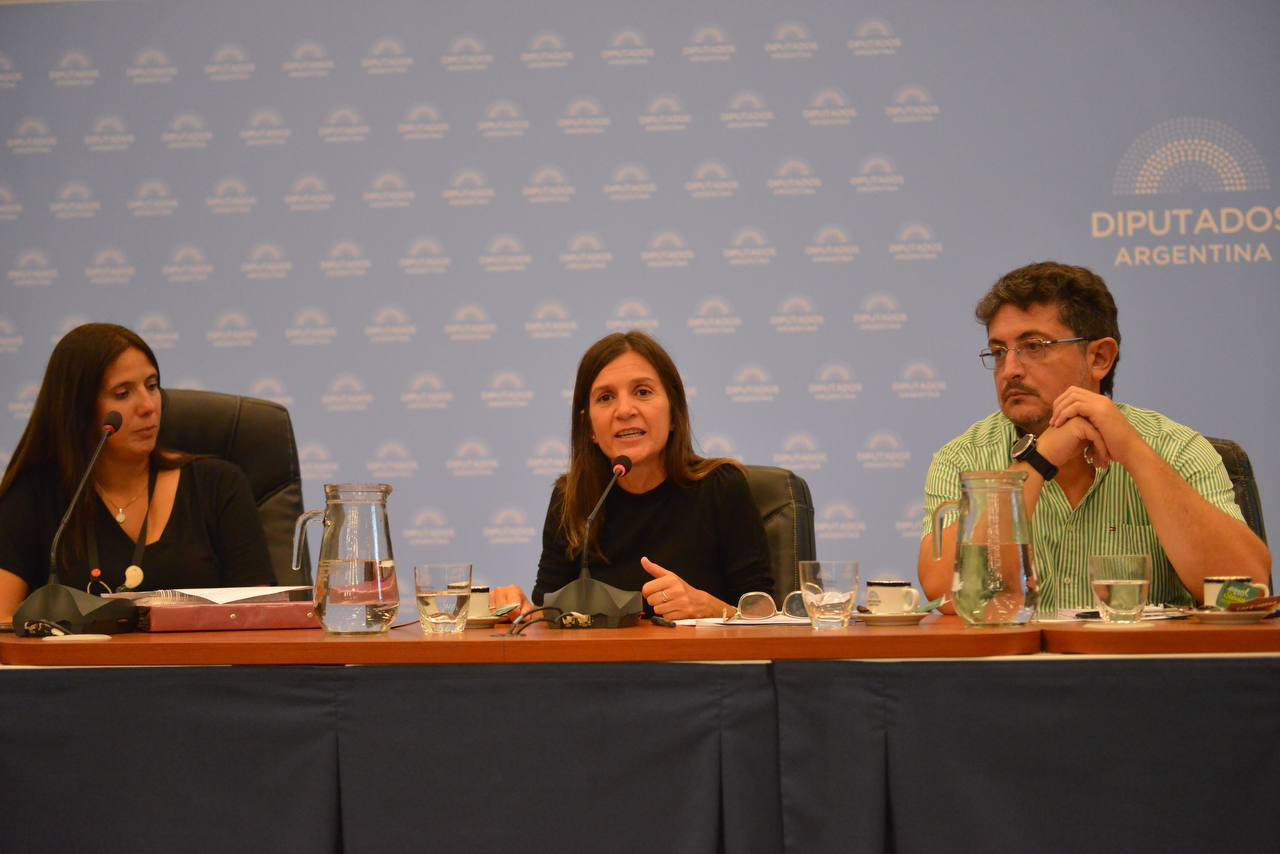FR_diputados