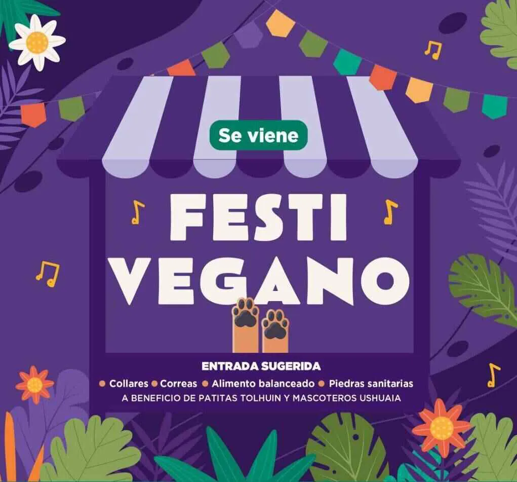 photo_4983381293362425124_y-1