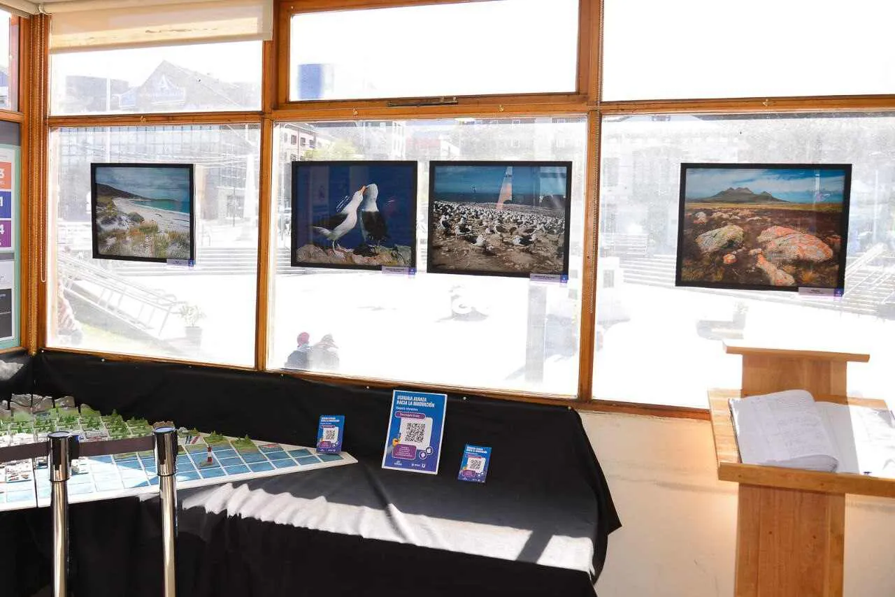 photo_5150047396204490421_y-4