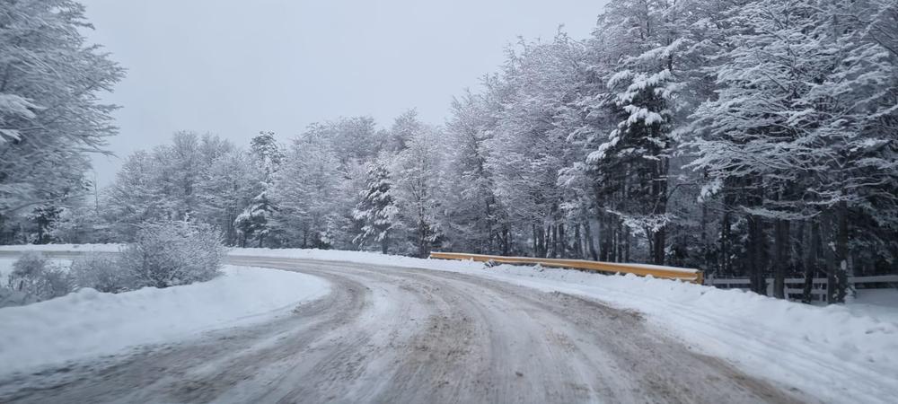 bf5827cf-8ca5-4d17-b19c-95989cde6983