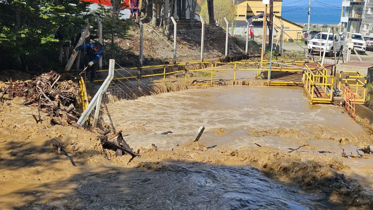 ARROYO (1)