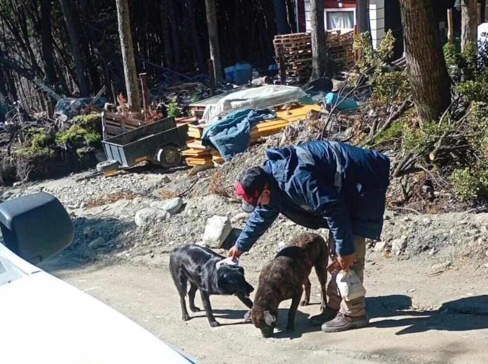 photo_4999105164341873499_y-1