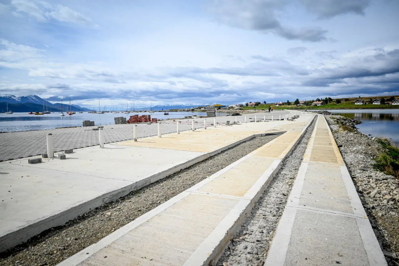 photo_4954348680241065378_y