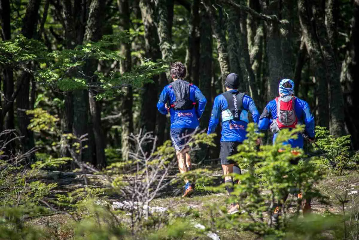 photo_5098582396529389598_y-1