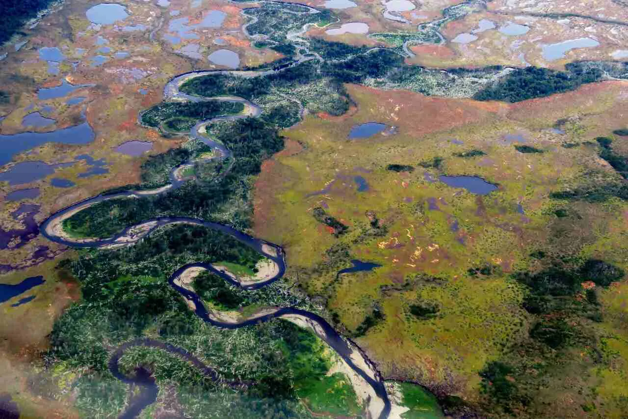 photo_4933767209847294742_y-1