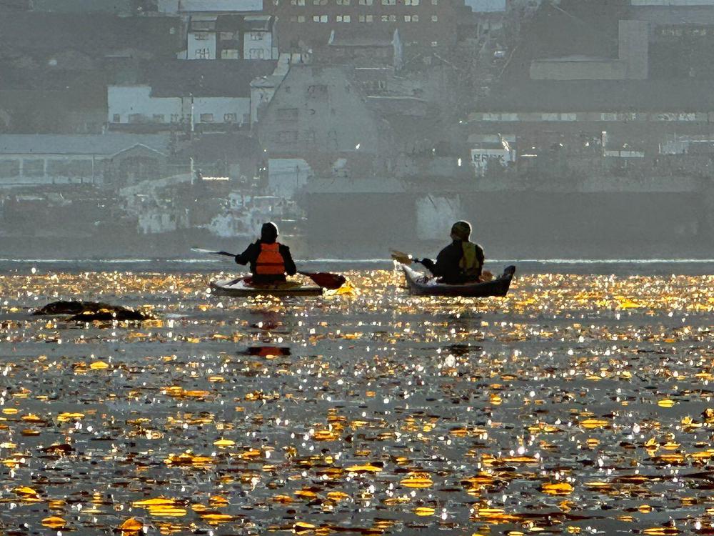 034afee6-5b9f-4c0e-ae21-e24fcb2532c9