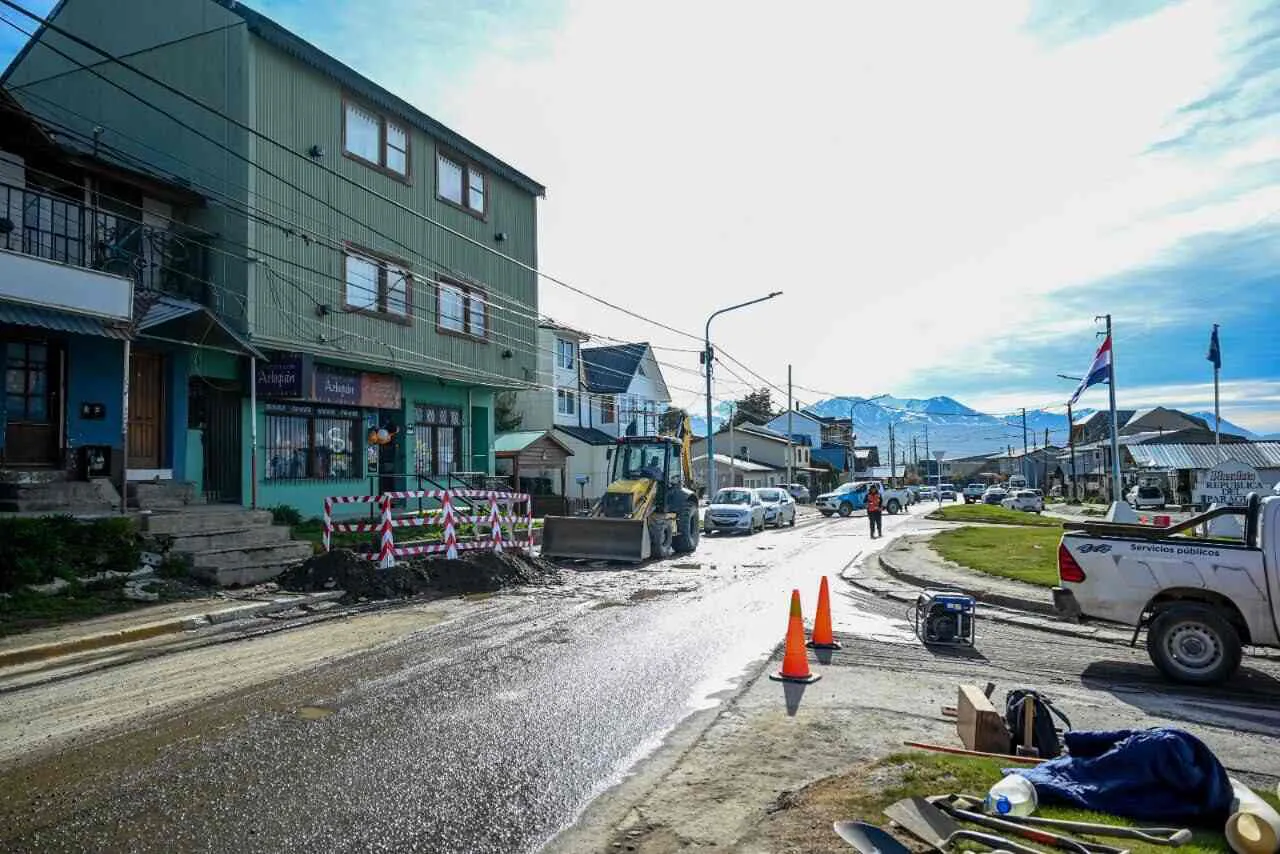 photo_4988159934105496875_y-1