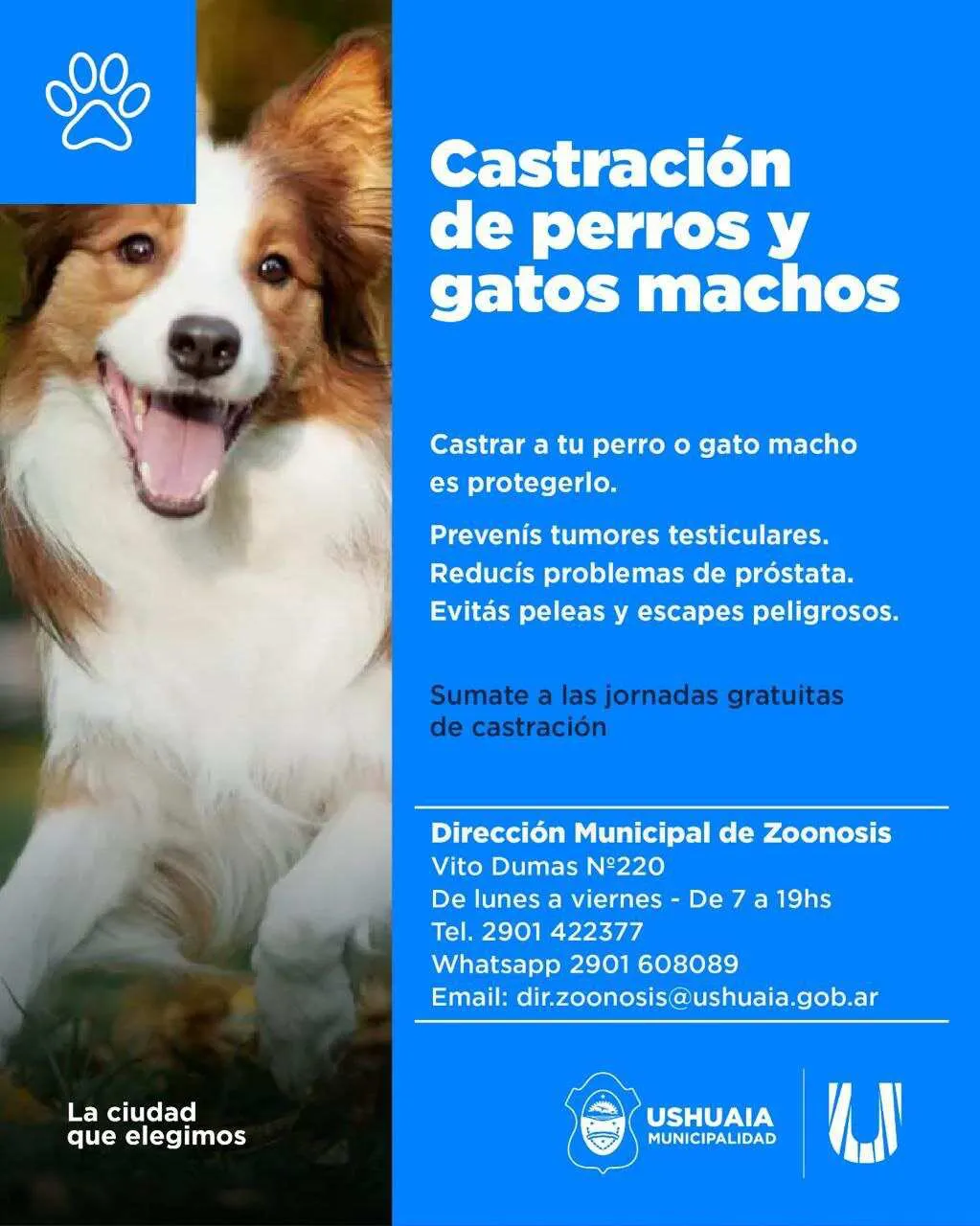 photo_4922919711595498342_y-1