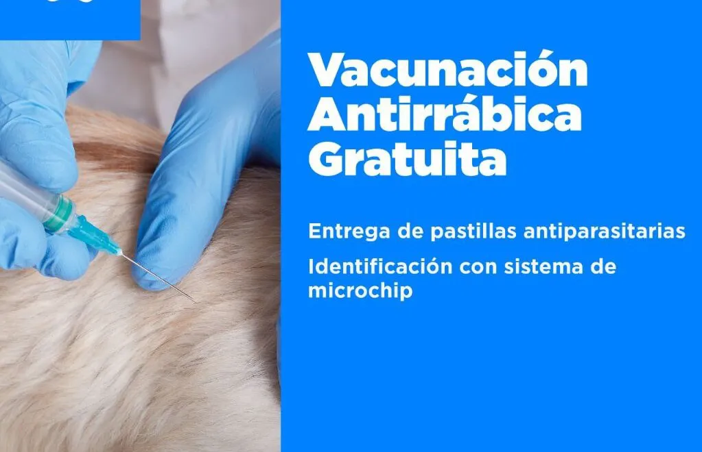 photo_5073682164720798525_y-1-2