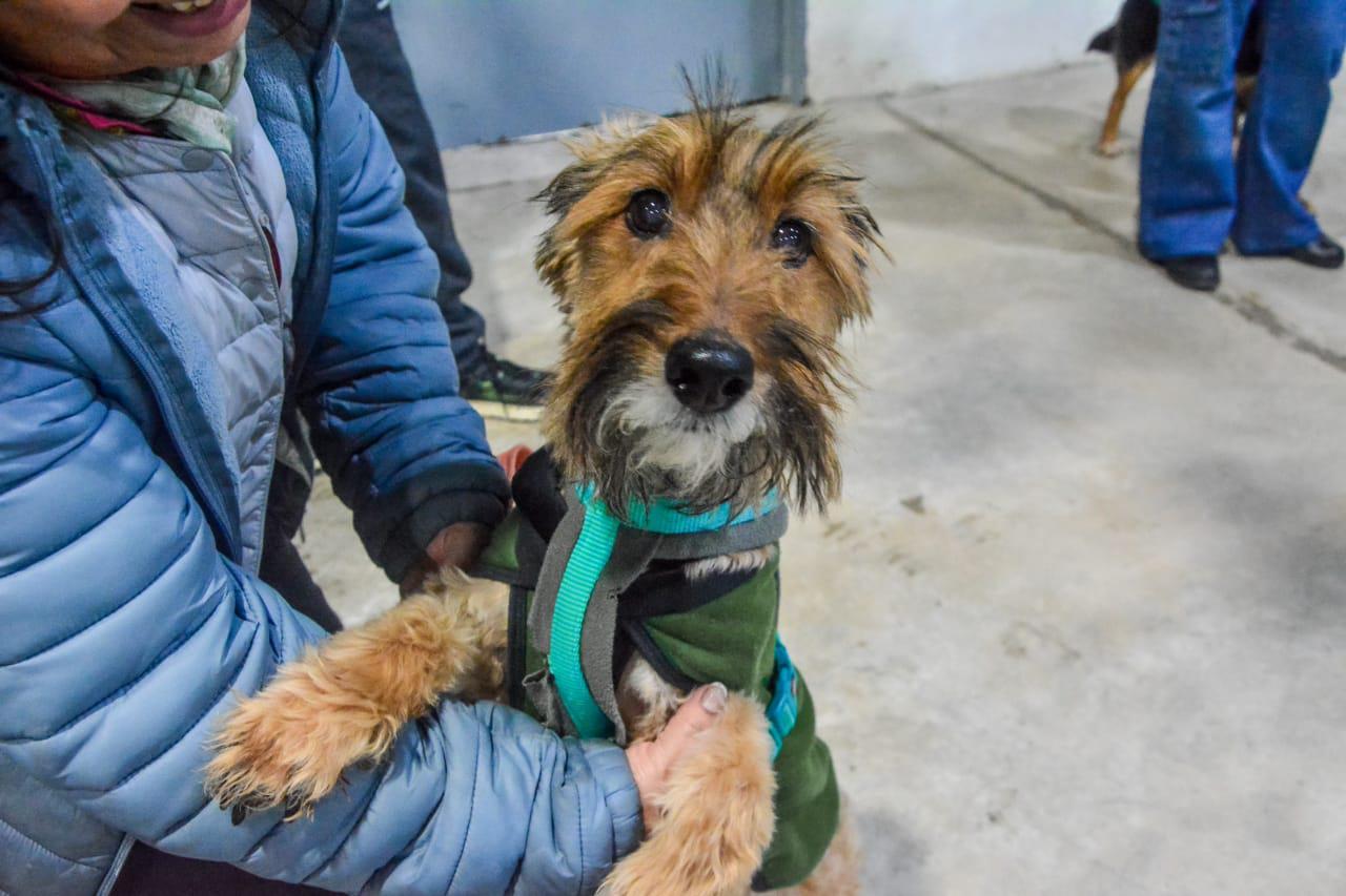 91933116-55e3-451c-b1e1-64001bf433c1