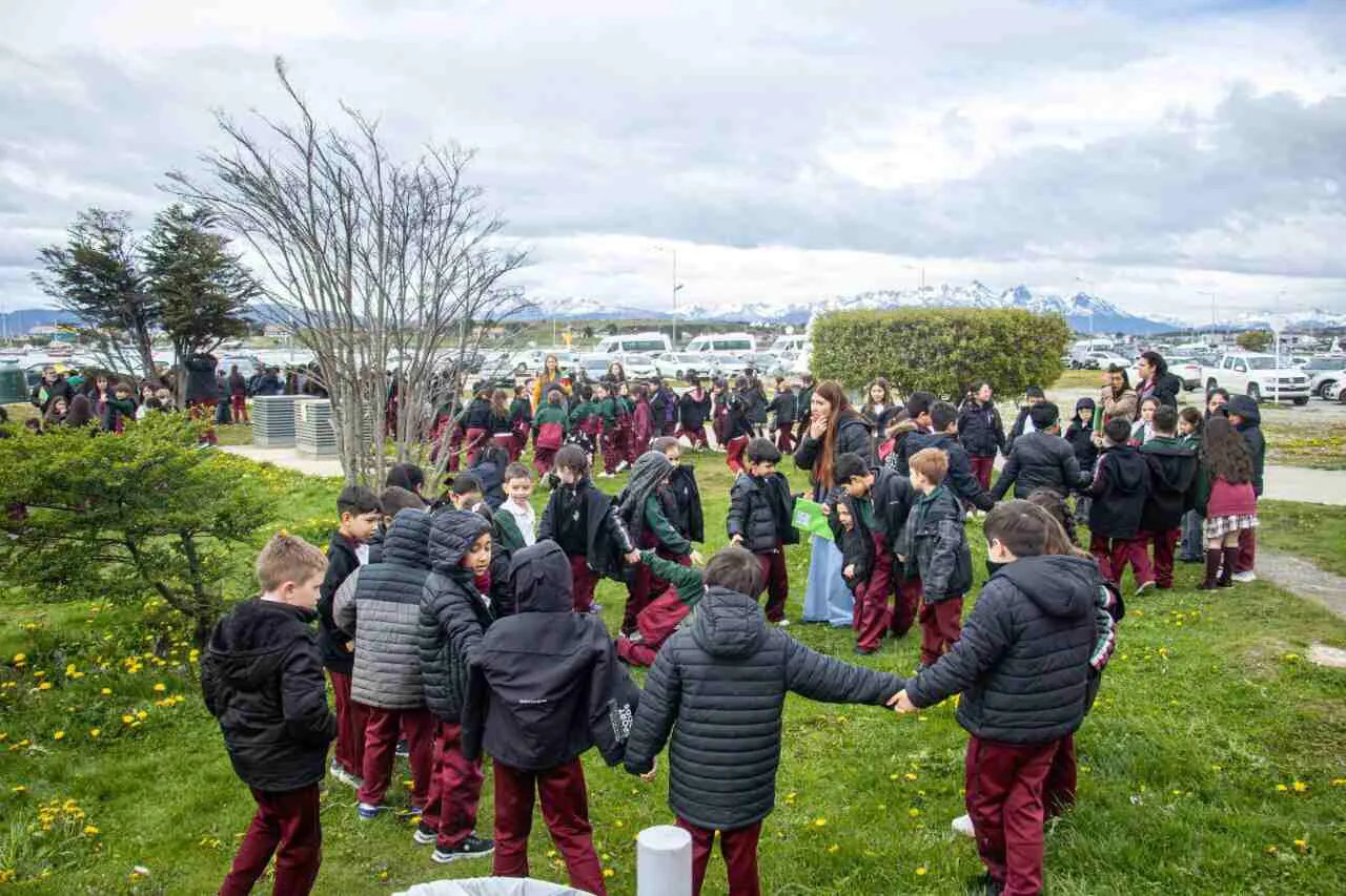 photo_4947494552390536102_y-3