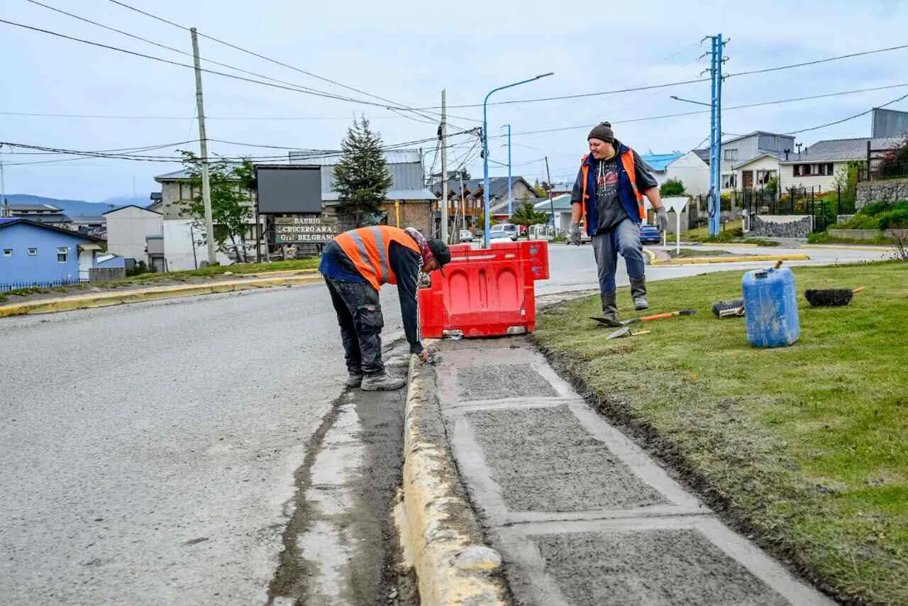 photo_5012640474598583869_y-1