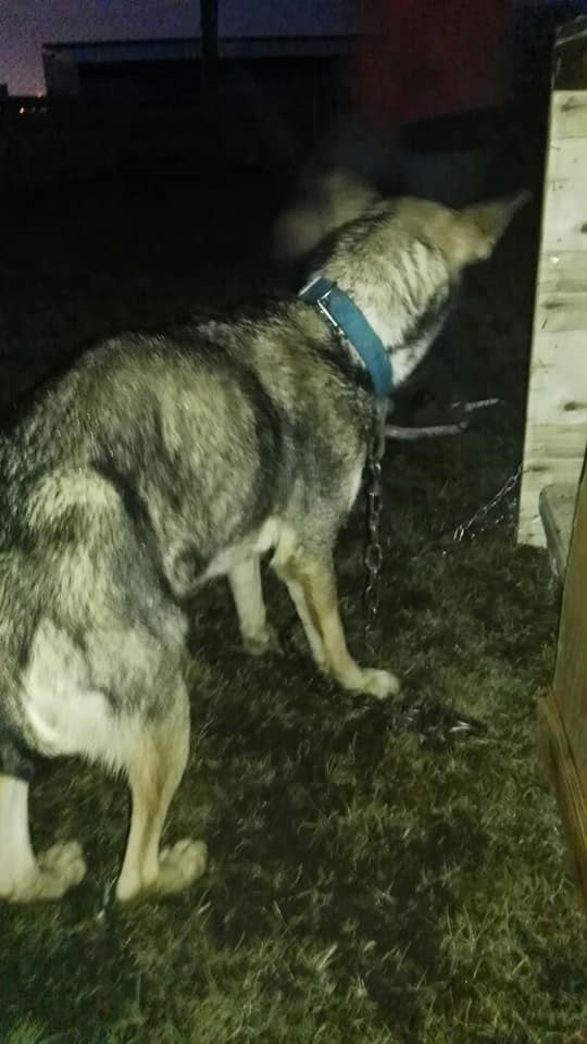 28276786_960070834147446_194985616287156905_n