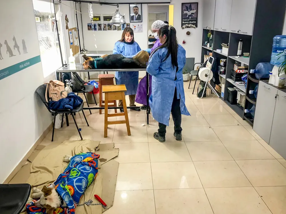 169926cd-cf1c-479a-aac6-714e25c49041