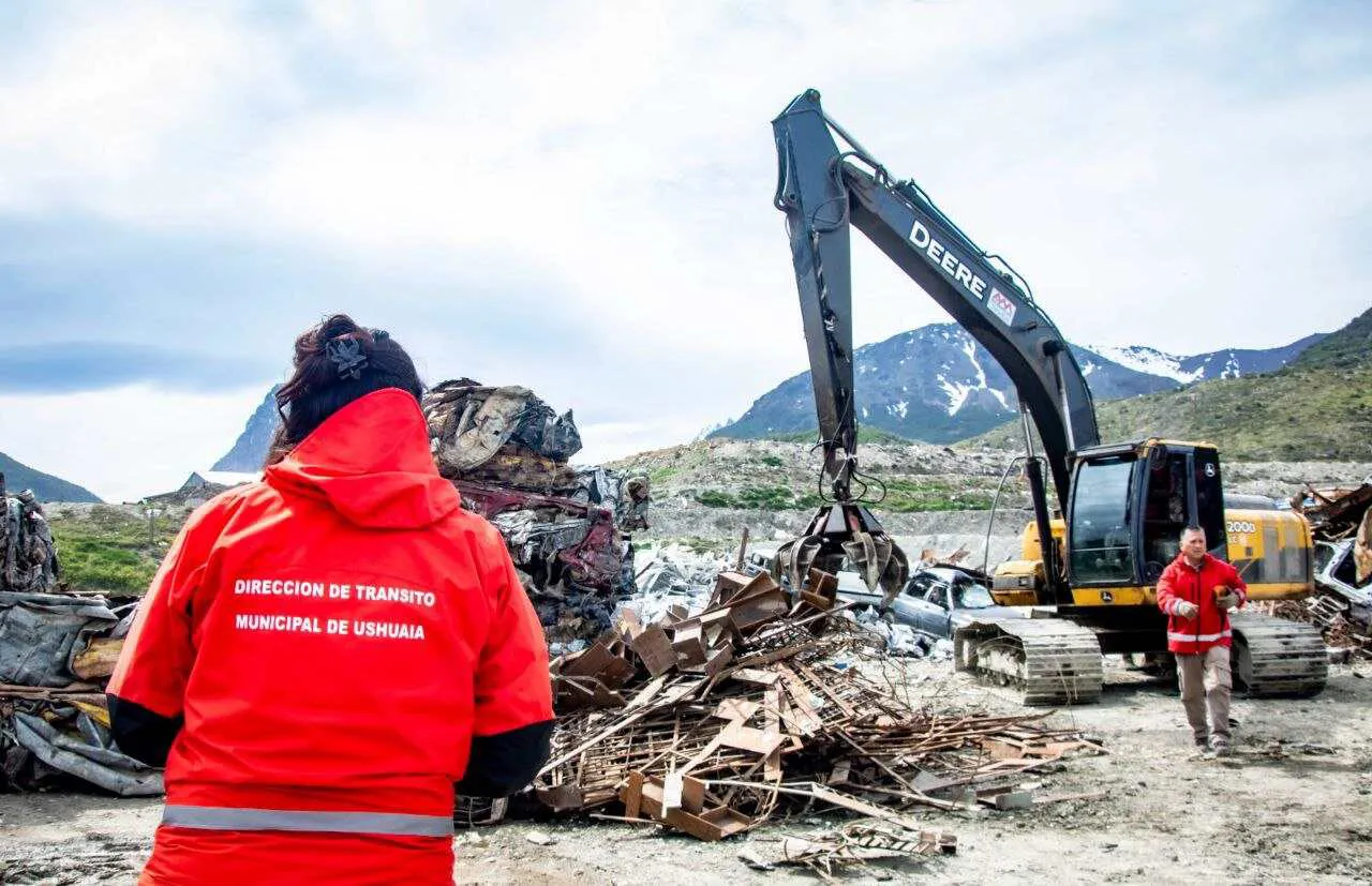 photo_5062155494696791694_y-1