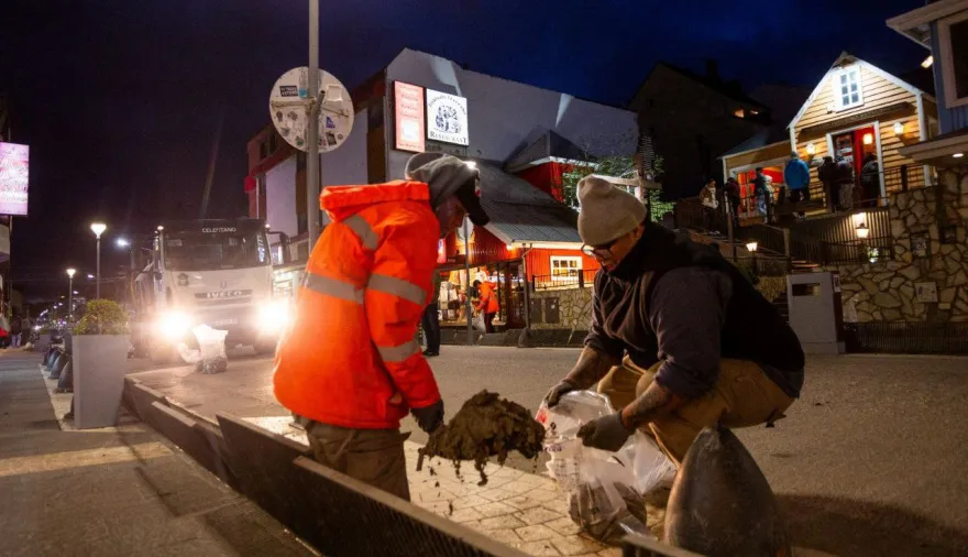 20251031140649_photo-4911540689665985316-y