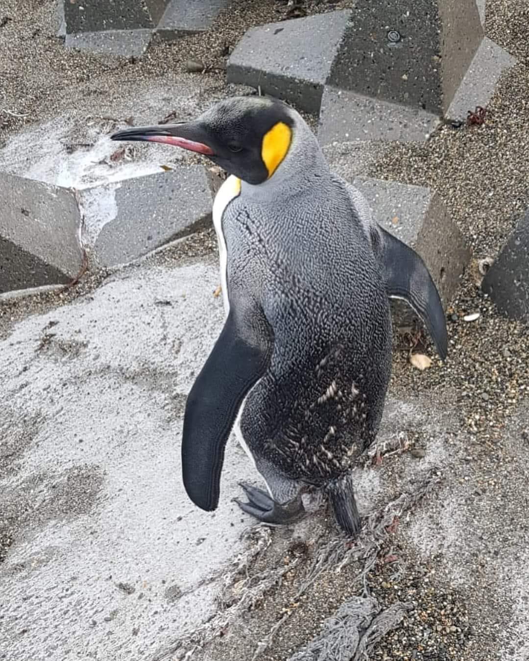 43fad95f-4b62-469c-b900-ed732e020504