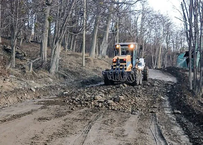 photo_4965519301767442436_x-1