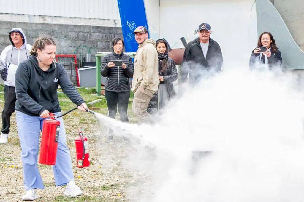 photo_4929641764910467882_y-1